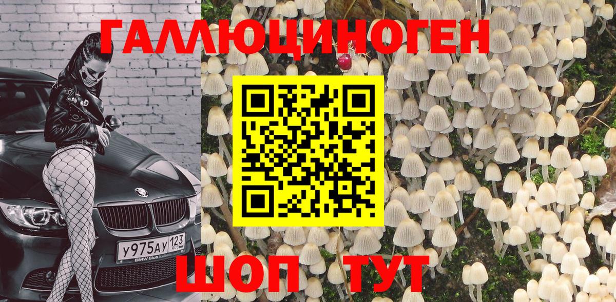 Белебей  Псилоцибиновые грибы GOLDEN TEACHER  Вход с VPN 