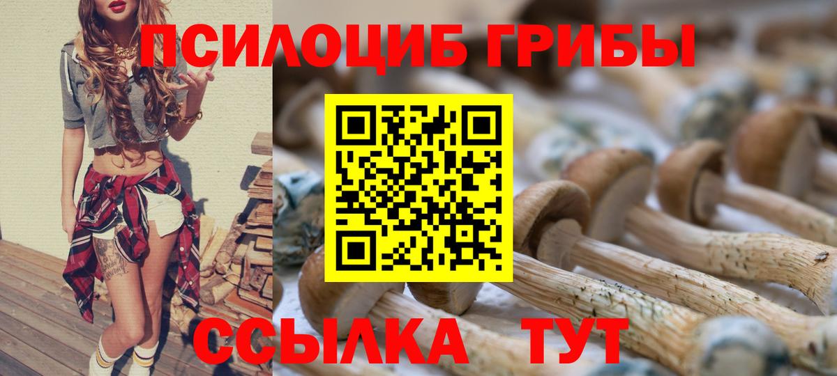 Галлюциногенные грибы Psilocybe Белебей