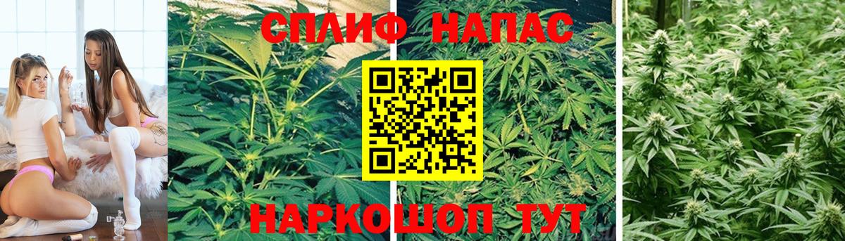 Канабис White Widow Белебей